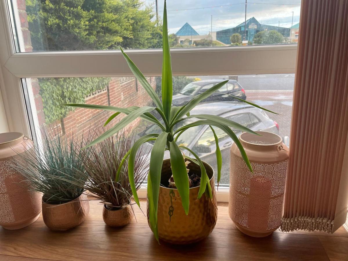 Southsea Retreatアパートメント エクステリア 写真